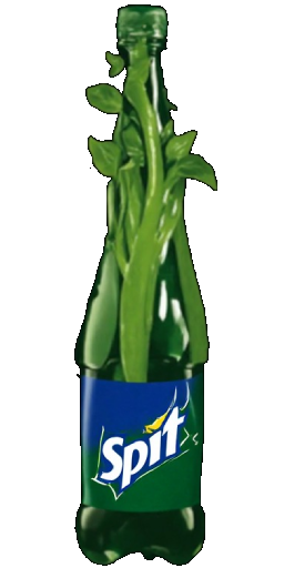 Beanstalk Sprite in Blister Online