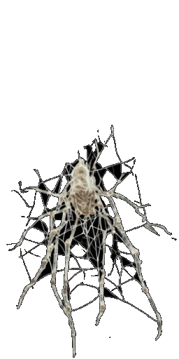 Cobweb Crawler in Blister Online