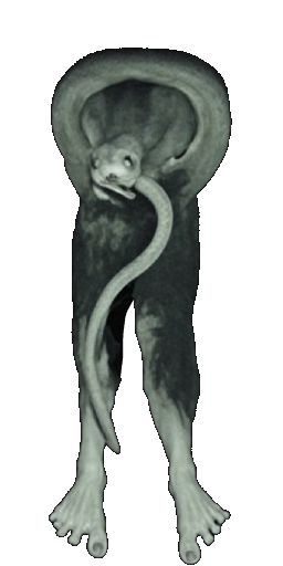 Hose Serpent in Blister Online