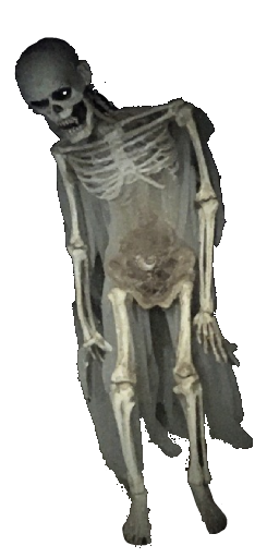 Risen Corpse in Blister Online