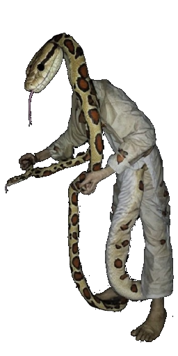 Snake Charmer in Blister Online