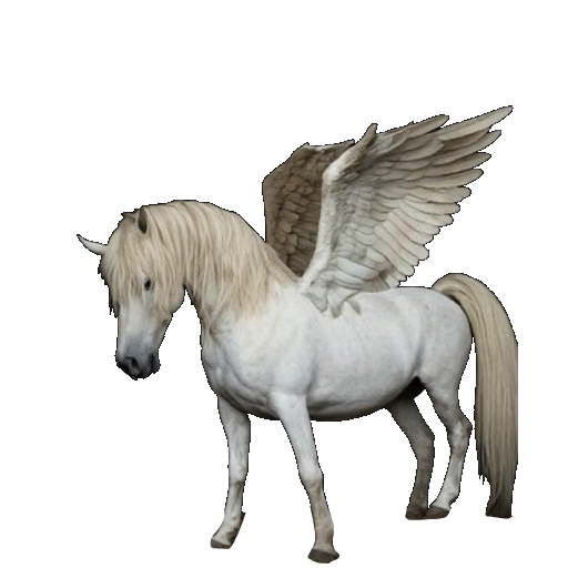 Wild Pegasus in Blister Online