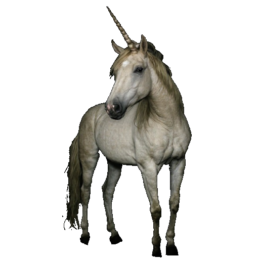 Wild Unicorn in Blister Online