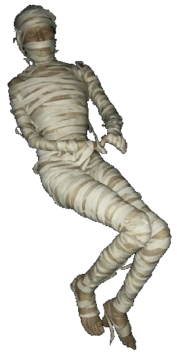 Wrapped Mummy in Blister Online