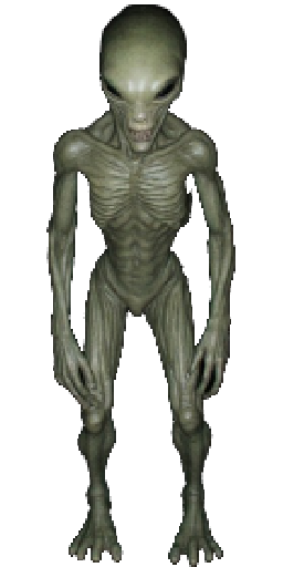 Grey Grunt in Blister Online
