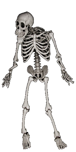 Bone Steed in Blister Online