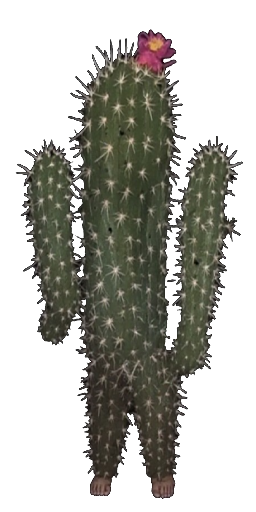 Cactus Brute in Blister Online