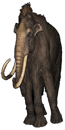 Dire Mammoth in Blister Online