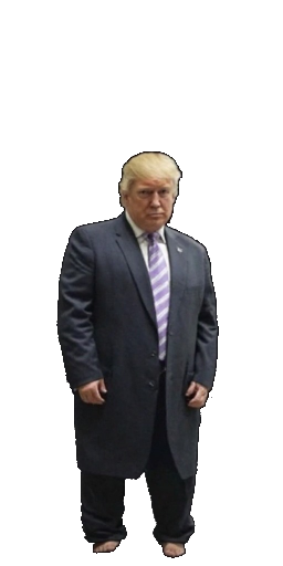 Donald Trump in Blister Online