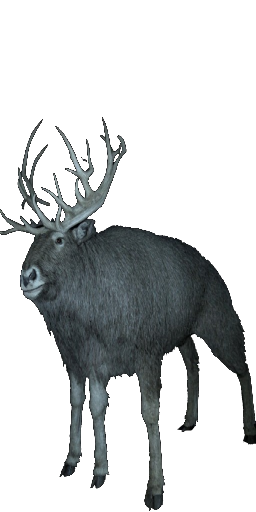 Frost Elk in Blister Online