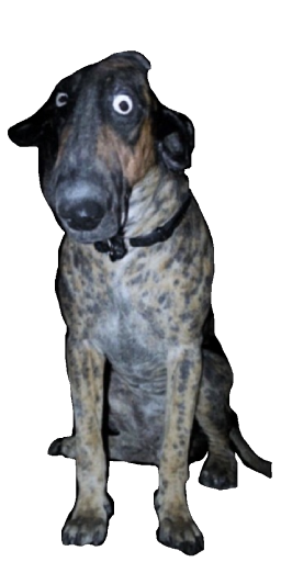 Hangover Hound in Blister Online