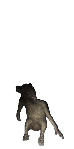 Junkyard Rat in Blister Online