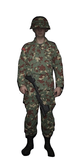 KPA Soldier in Blister Online
