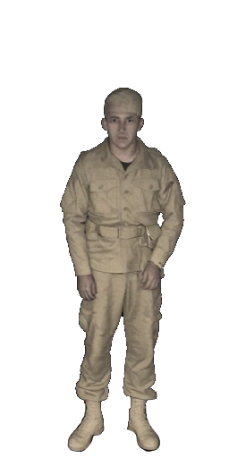Soldier in Blister Online