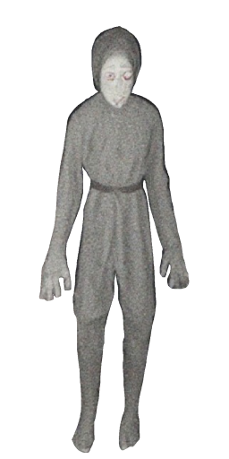 The Forest Stalker in Blister Online