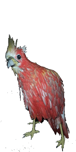 Thunderbird in Blister Online