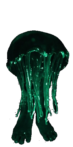 Void Jelly in Blister Online