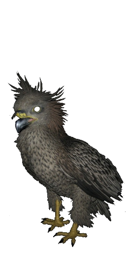Wild Gryphon in Blister Online